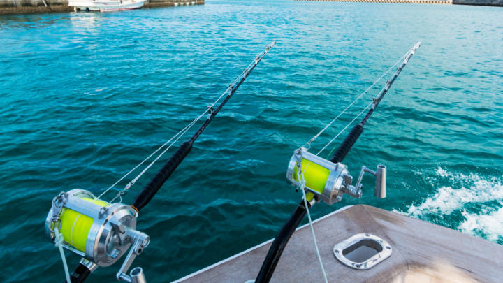 西伊豆 釣り船体験